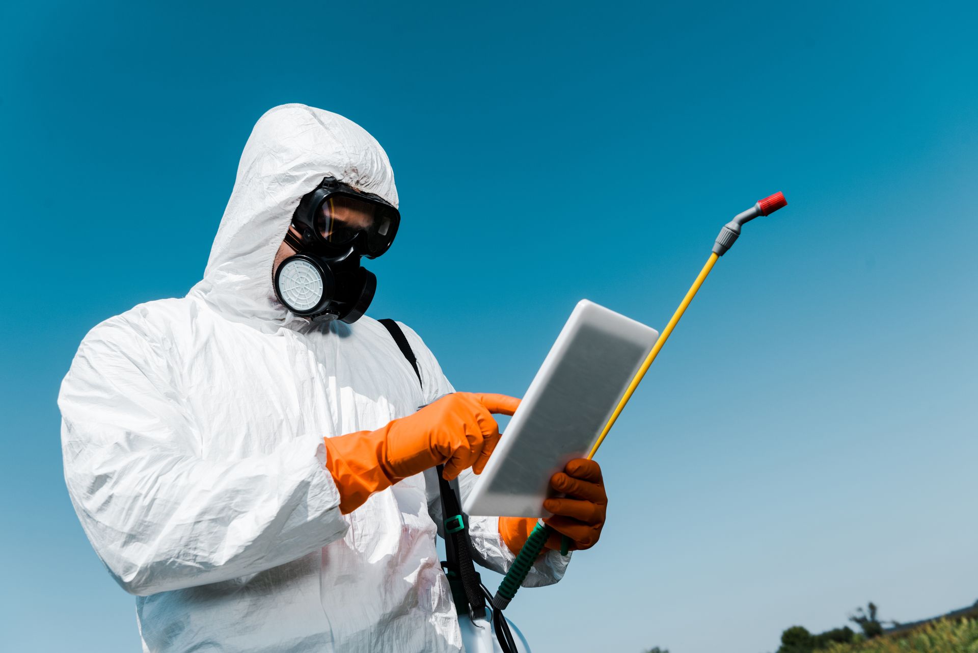 Rodent Infestation Guide - Recognizing Signs and Prevention Strategies for a Pest-Free Home in West Jordan, Utah