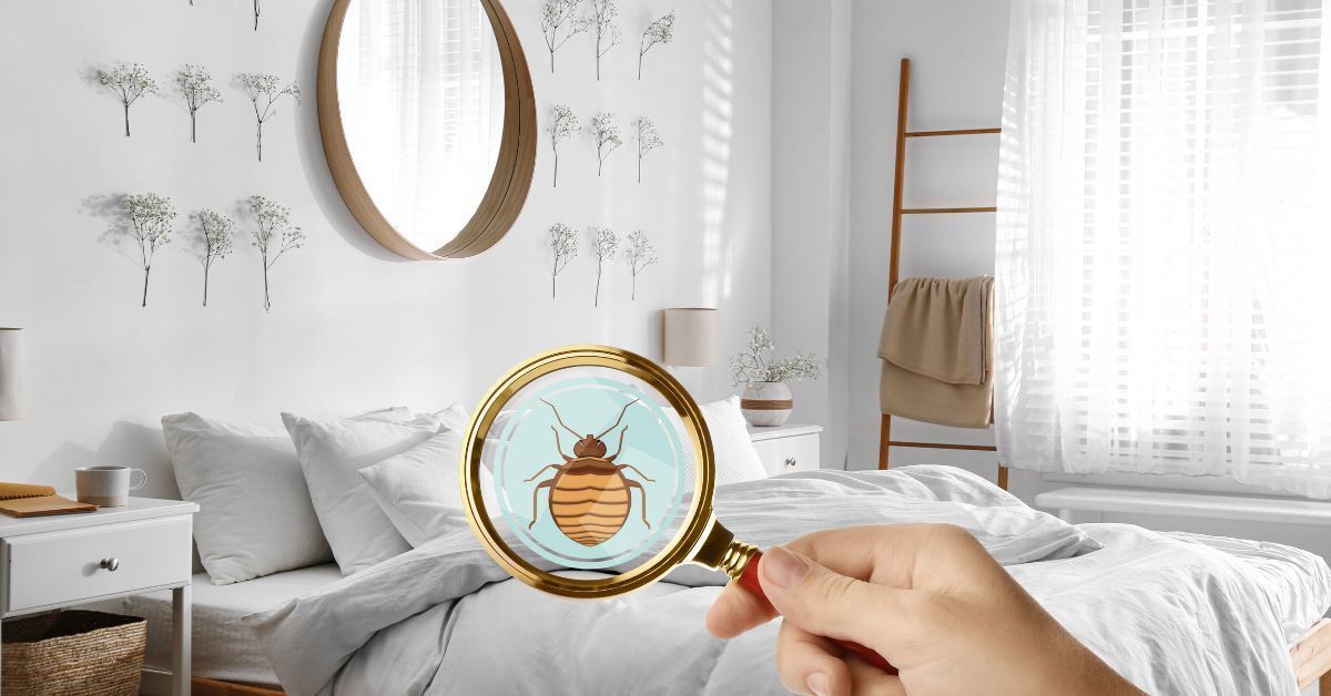 pest control services