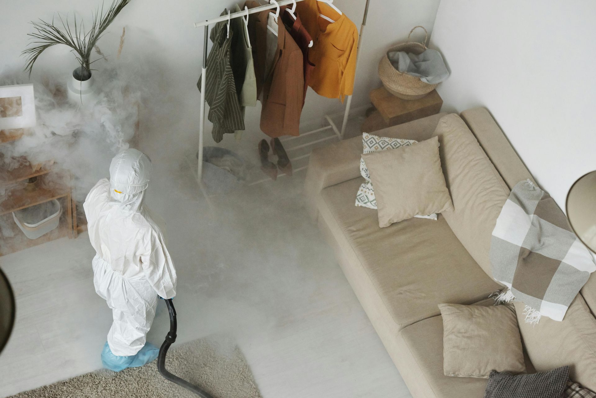 reliable pest control services in West Jordan, UT